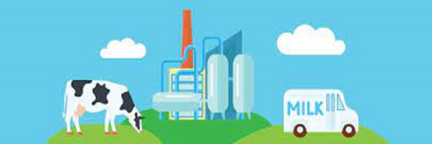 Dairy Processing	