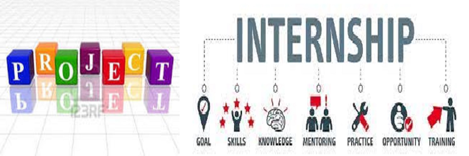 Internship/project work/dissertation training **	 Course Code 39